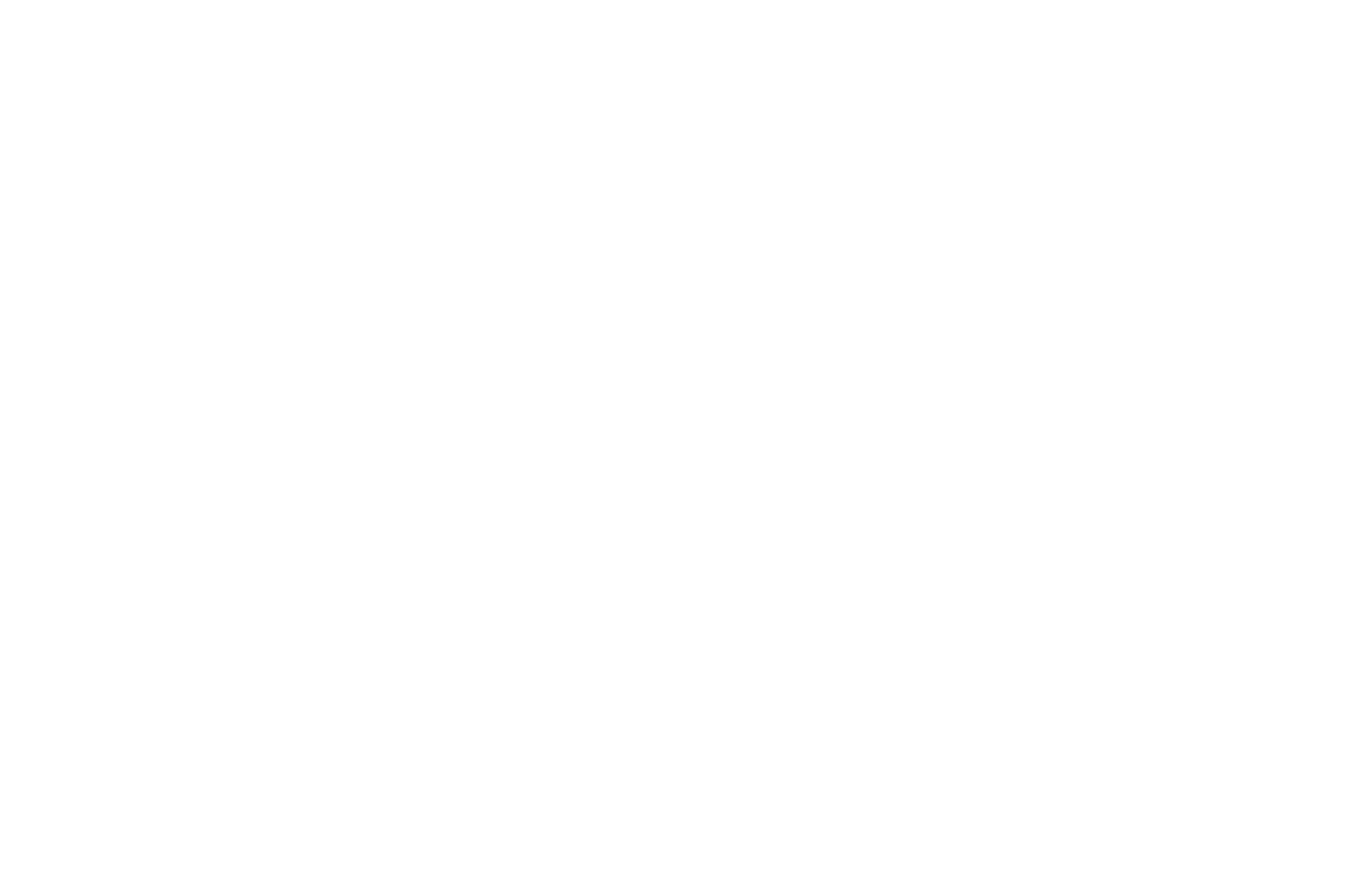 Avenel Football Netball Club Logo